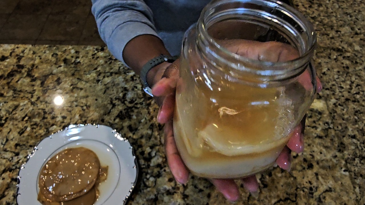 Too Many SCOBYs? What to do with Extra SCOBYs | Kombucha Brew