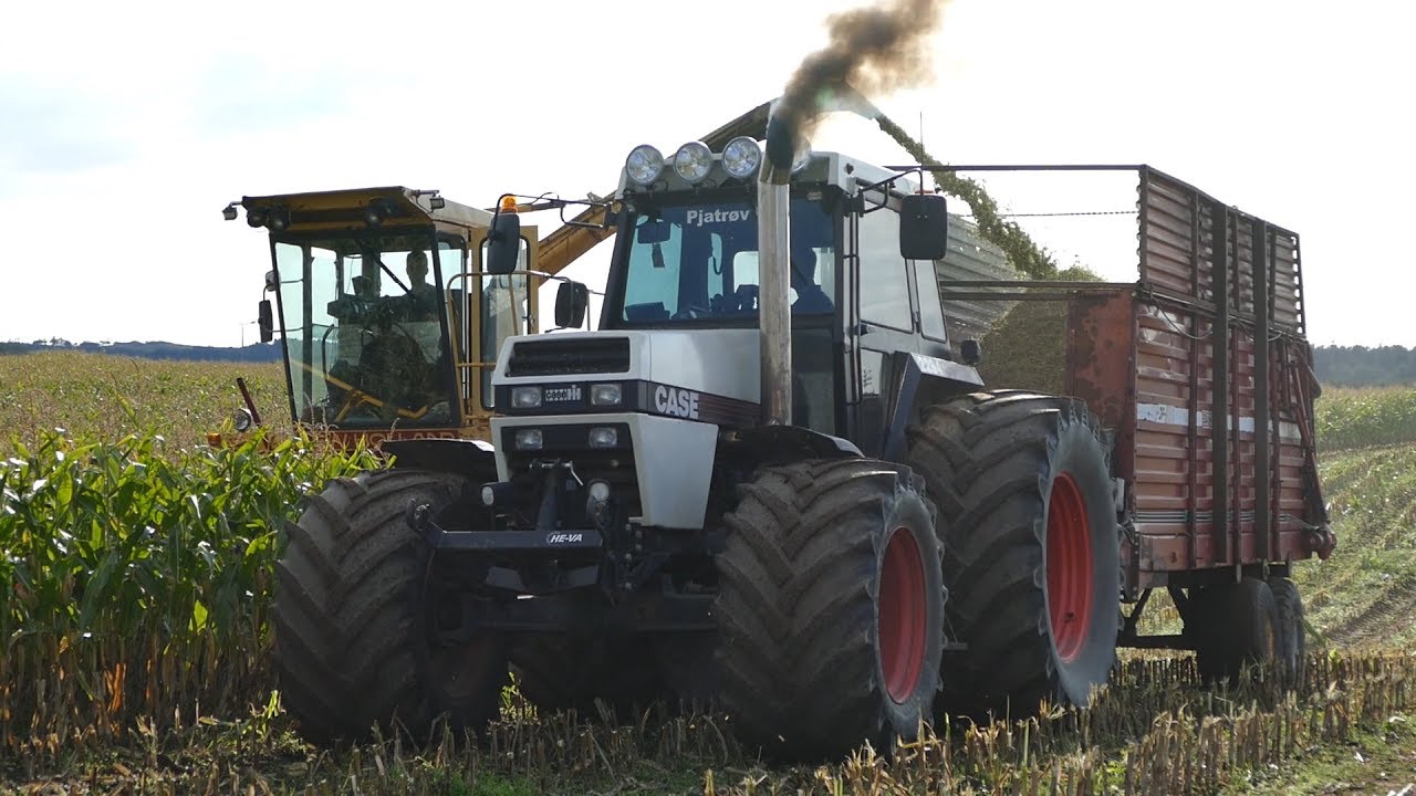 Case 2294 & New Holland 1905 Working Hard Chopping Corn | Maisernte 2018 | Danish Agriculture