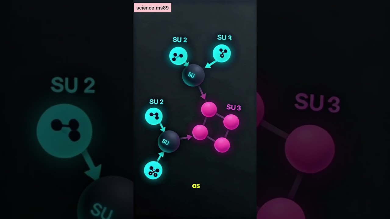 symmetries in quantum physics