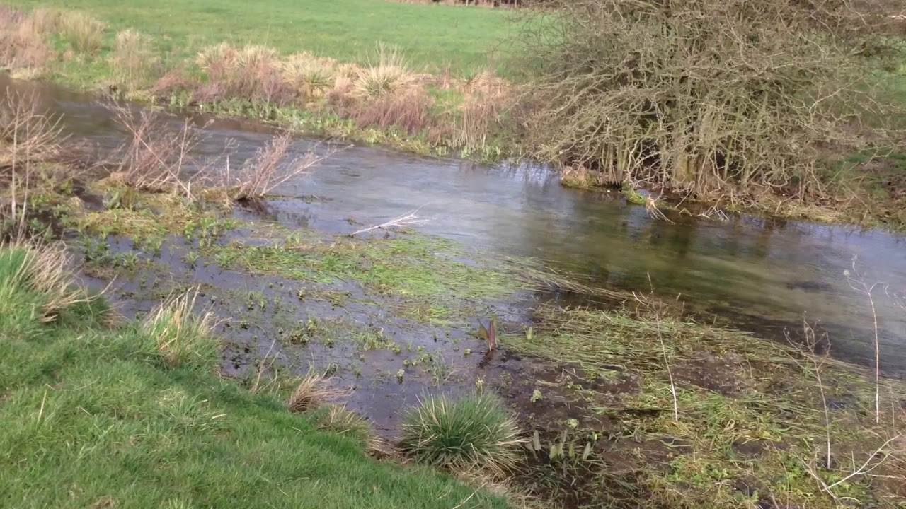 Thames Source, With Water to Kemble Bridge, March 2020 by Michael Parkinson