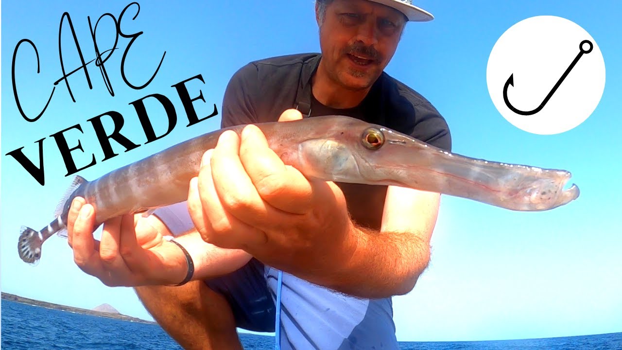 CAPE VERDE FISHING bonefish | trevally and big sea turtles