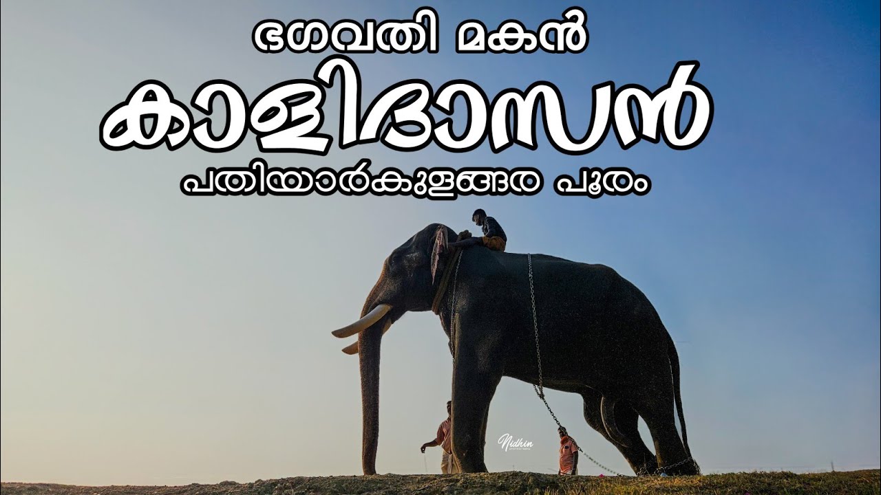 പതിയാർകുളങ്ങര പൂരം കഴിഞ്ഞ് ഒരു മടക്കയാത്ര പ്രകൃതി ഭംഗിയിലൂടെ  കാളിദാസനും  സാരഥിമാരും 😍