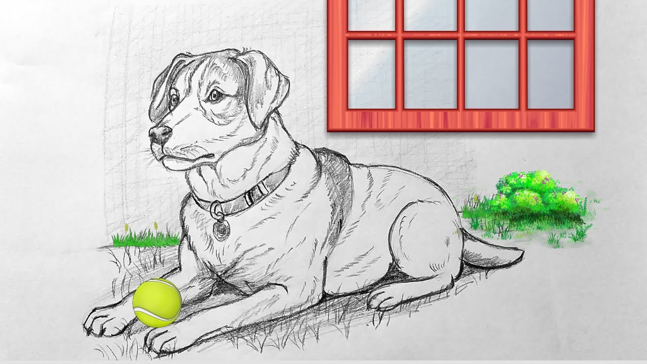 How to draw a dog in a sitting position✏️🐶 ا Realistic Pencil Sketch Tutorial Step by Step 🔥✨
