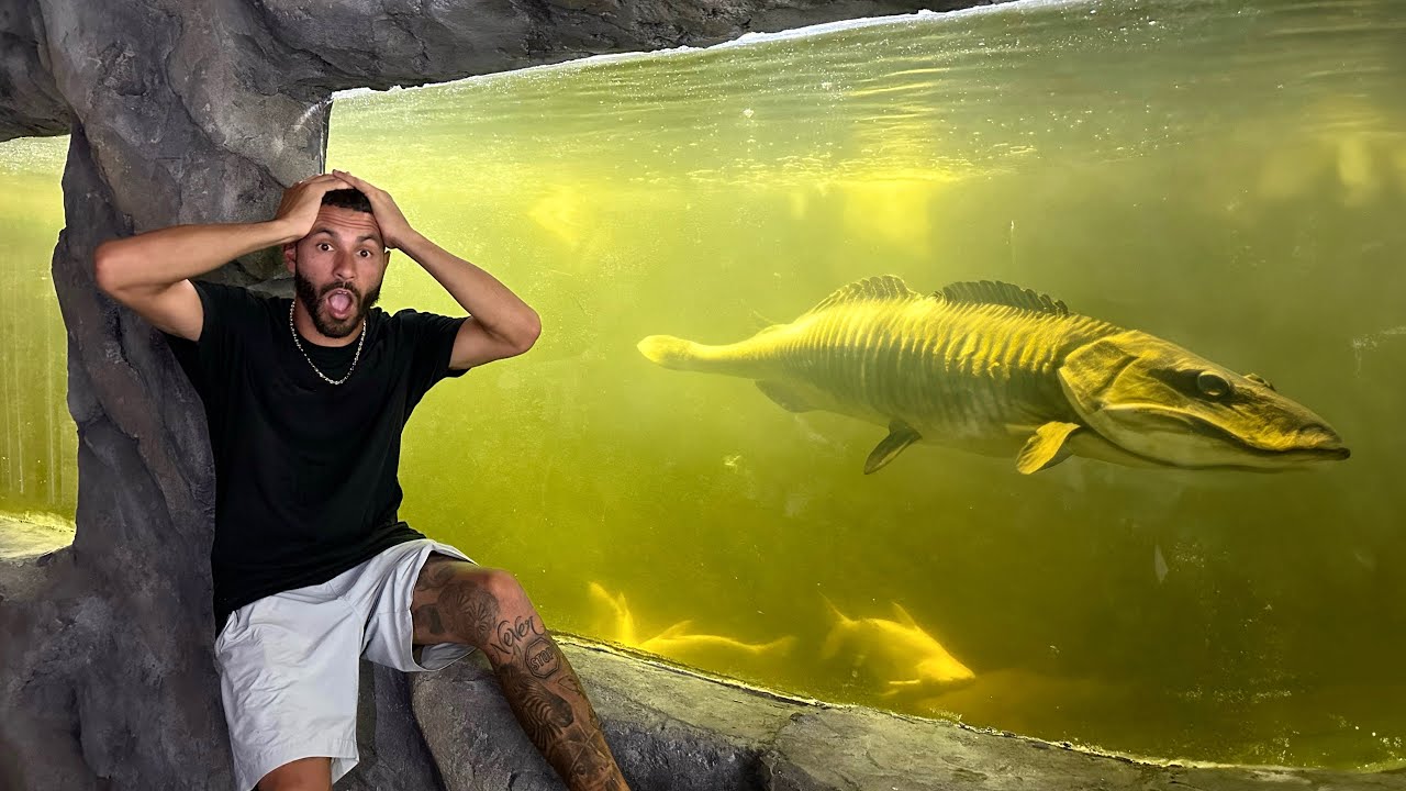 PREDATORY MONSTER FISH TANK! *UPDATE*