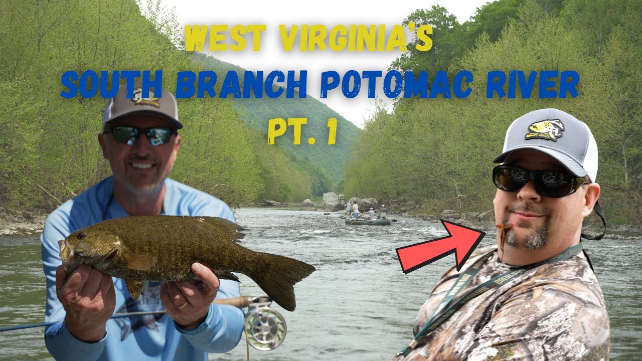 100+ SMALLIES on the South Branch!!!