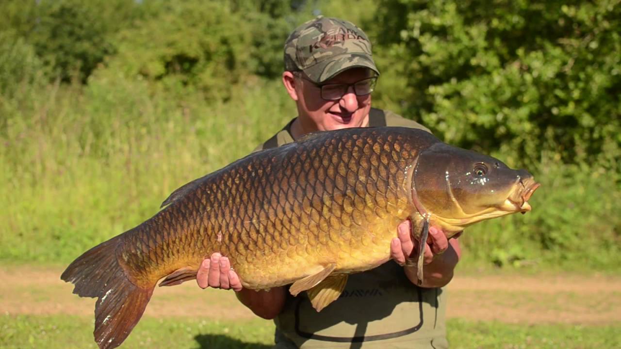 Korda Masterclass 2 - Low Stock Big Pits