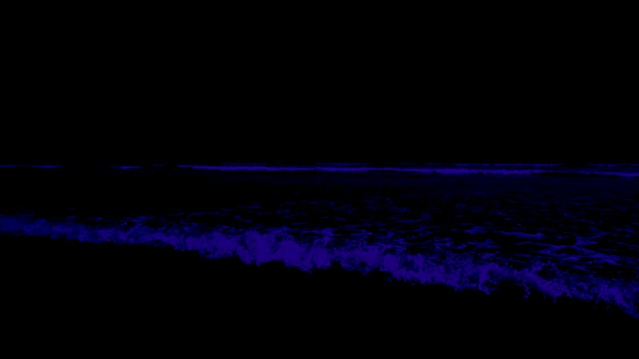No Ads Deep Relaxation Music • Best Stress Relieving in Minutes With Soothing Waves In Quiet Night