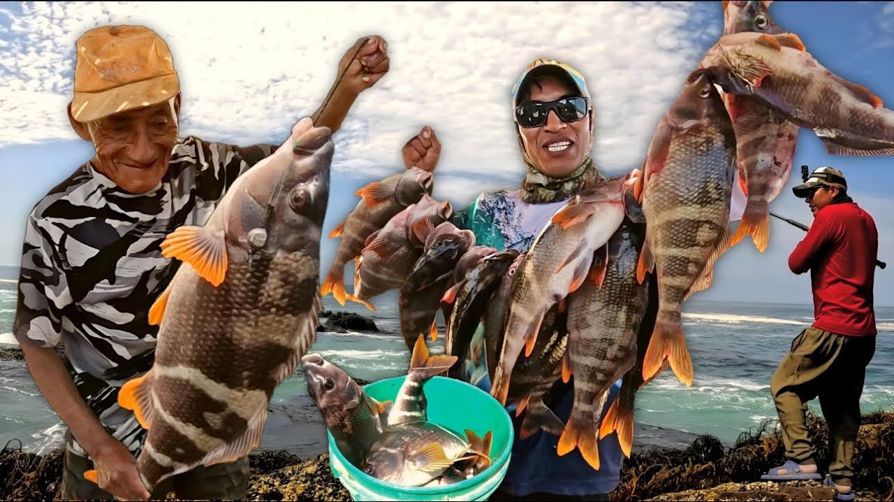 SPINNING  - Incre&iacute;ble Pesca de PINTACHAS Gigantes en las PE&Ntilde;AS del T&iacute;o ADRI&Aacute;N