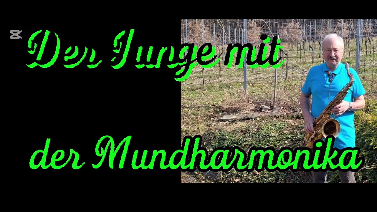 Der Junge mit der Mundharmonika 