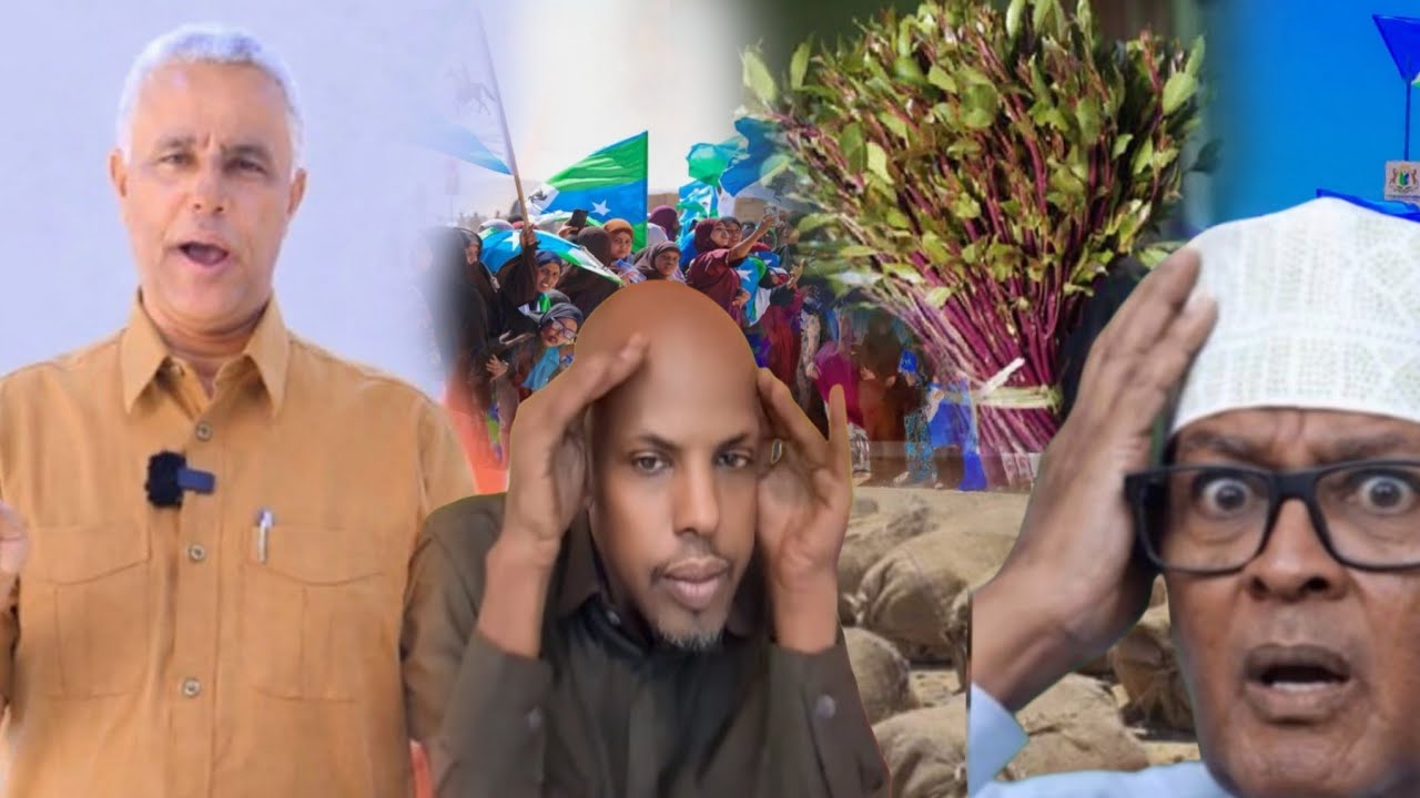 Ciro oo qaad wale isu badalay iyo dagaal qaadka ee habar jeclo