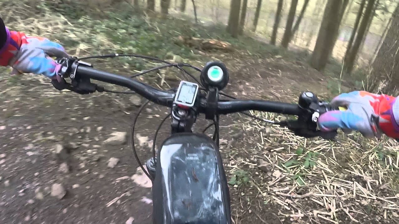 Teufelsclippen Wurzelpassage