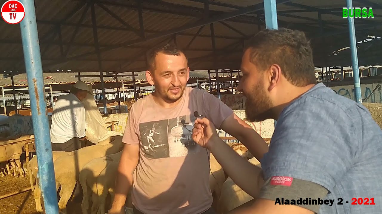 Kurban Pazarı Bursa Alaaddinbey 2 - 2021 / Part-2 / Hayvan Fiyatları / OAÇ TV