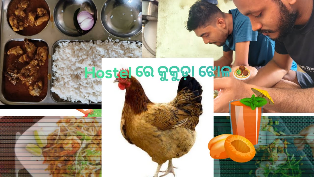 #food#vlog#travel#nature#lifeisbutadream🐓 kukuda jhhola asa khaeba🧆😋