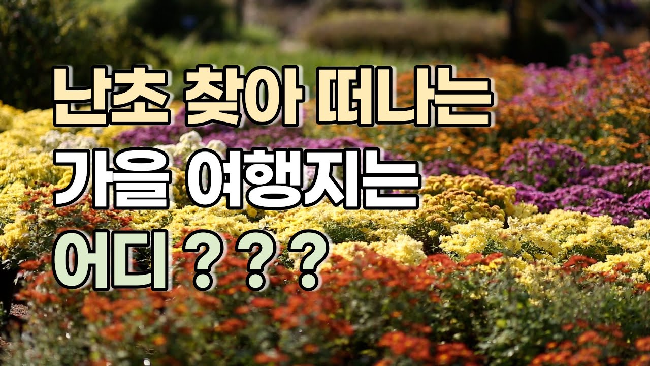 풍란 변이종 찾으러 화성시 우리꽃 식물원에 갑니다.