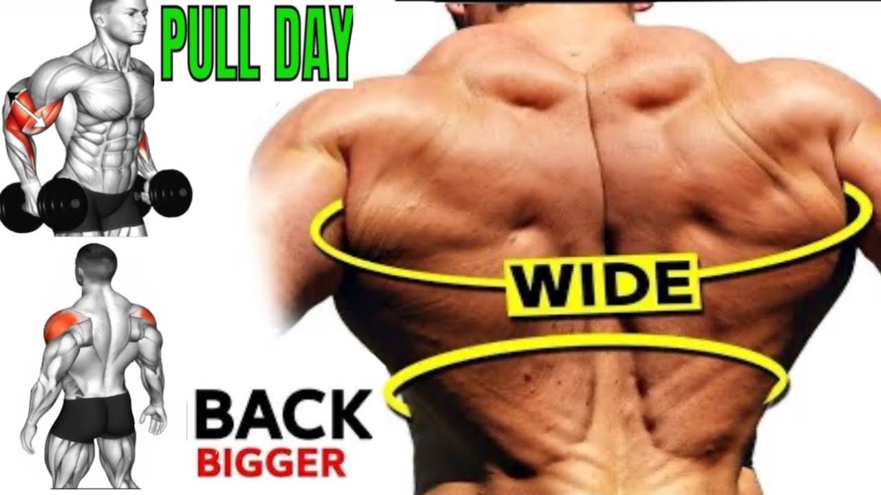💥 PULL DAY BRUTAL 💪 Espalda + Hombro Posterior + Bíceps | Rutina para CRECER MASIVO 🔥