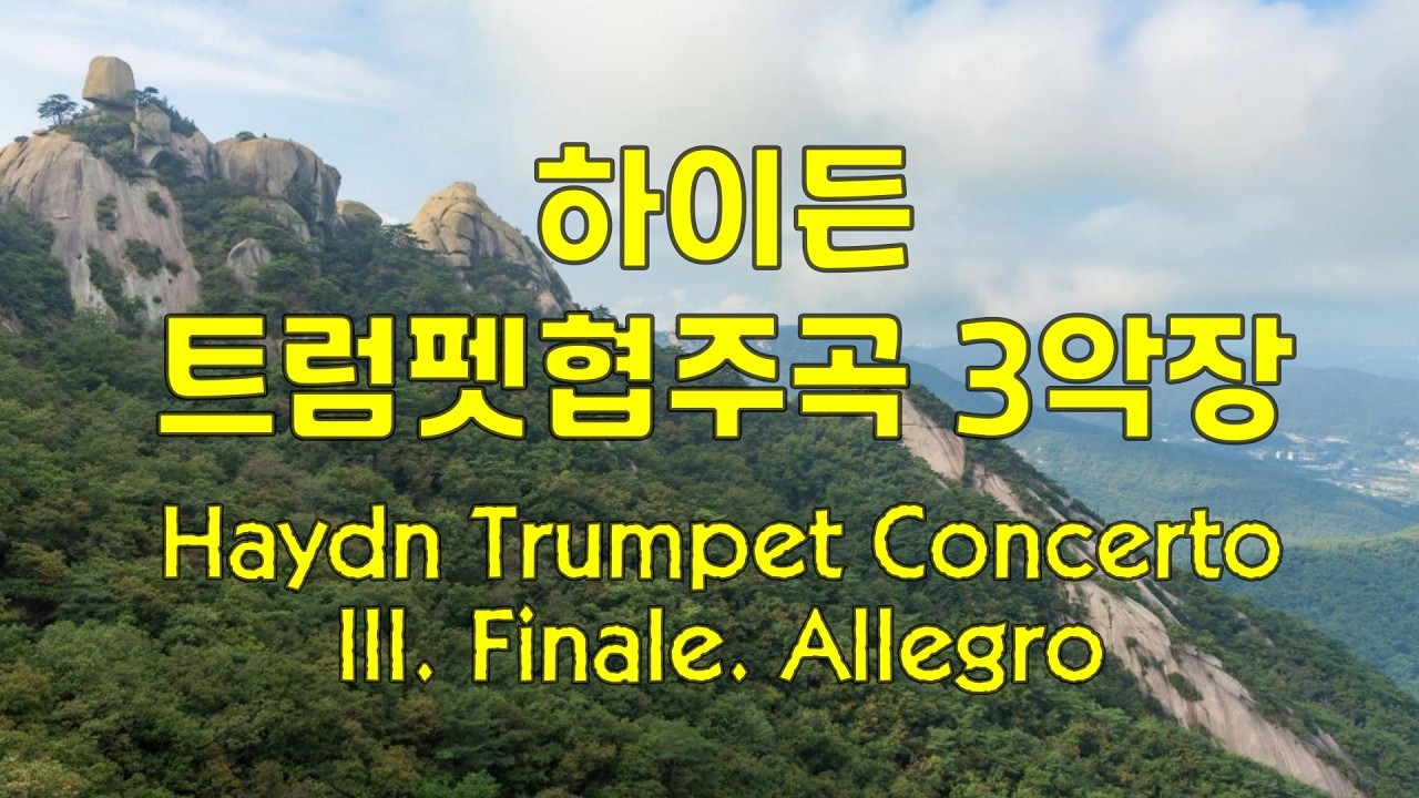 하이든 트럼펫협주곡 3악장 Haydn Trumpet Concerto III. Finale Allegro #classical #클래식 #classic #haydn #trumpet