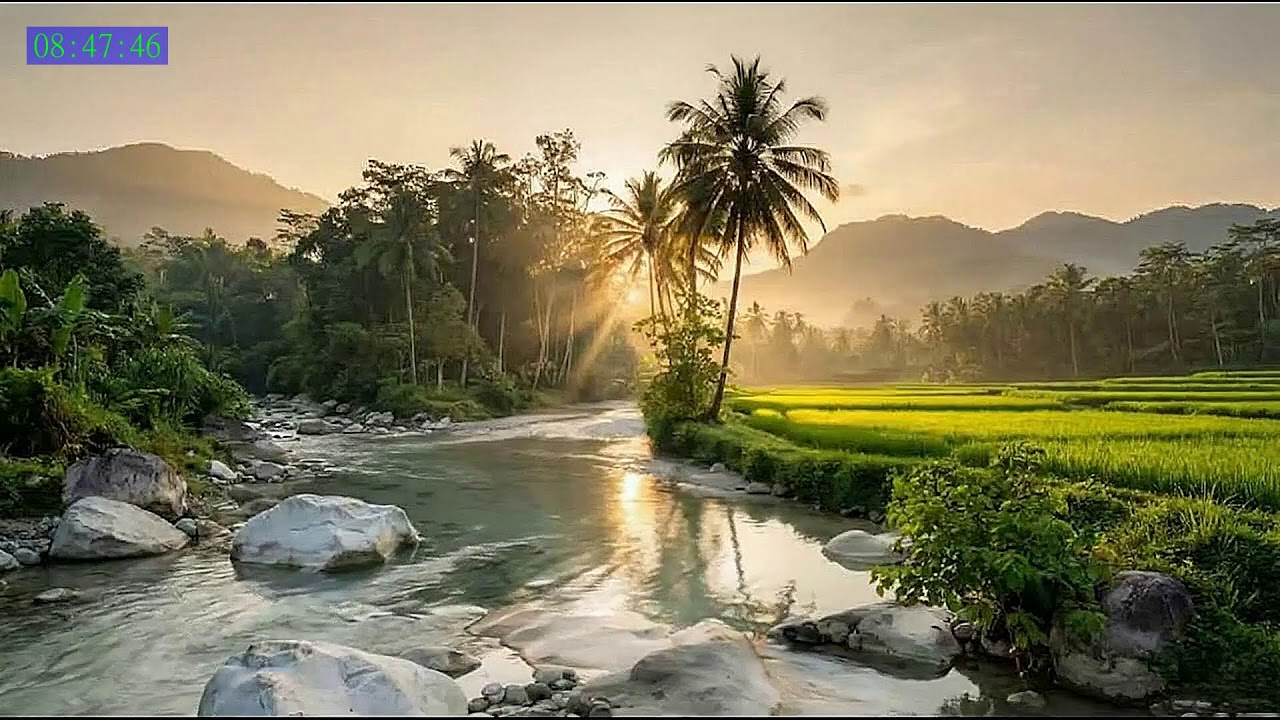 Deep Calm Energy to Relax the Brain and Body Completely