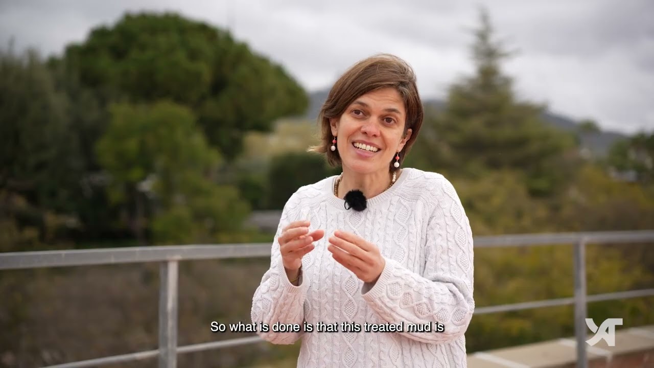 Solucions X_AgriTech: Disseny i gestió d'aiguamolls construïts