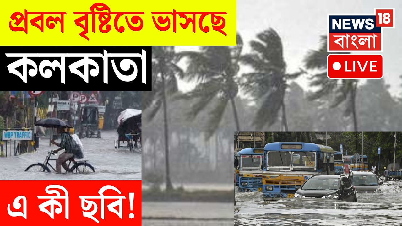 Weather News LIVE | দুপুরেই অন্ধকার, শহরে ঝেঁপে বৃষ্টি, ঘনঘন  বজ্রপাত | Kolkata Rain News