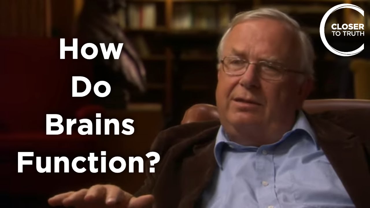Michael Merzenich - How Do Brains Function?