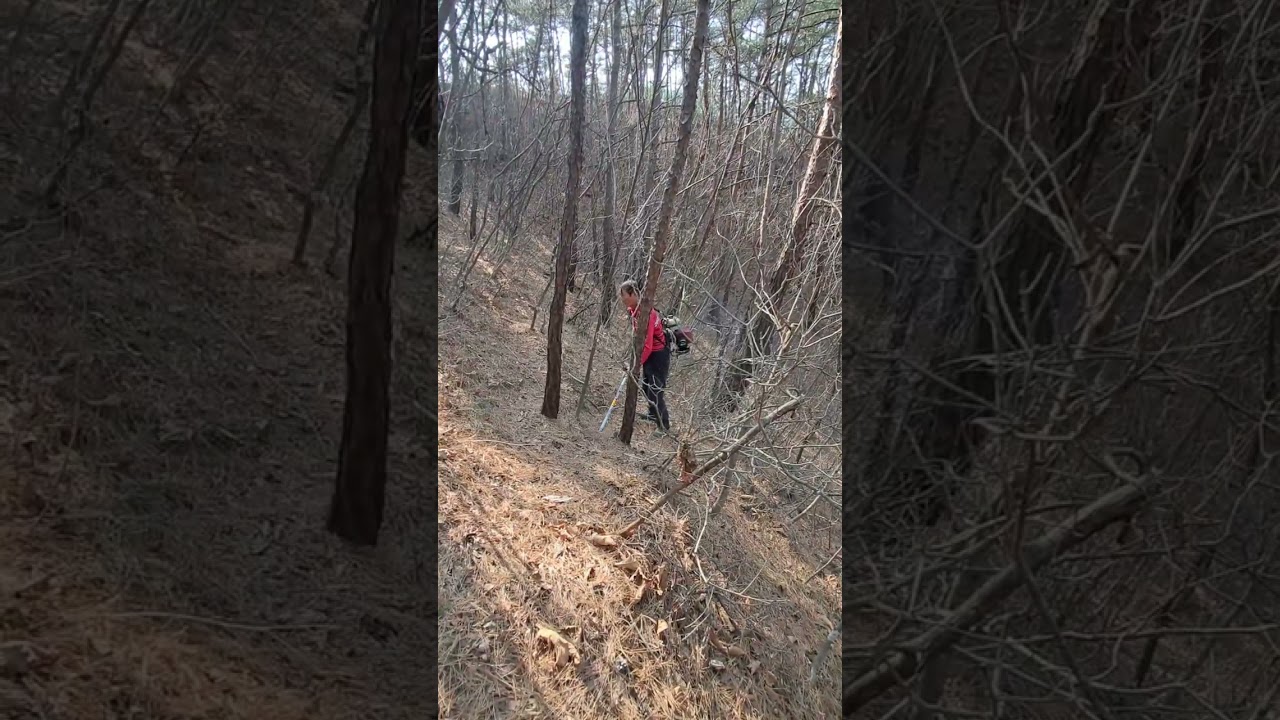 산불예방 & 기적의 🍎 부엽토  작업