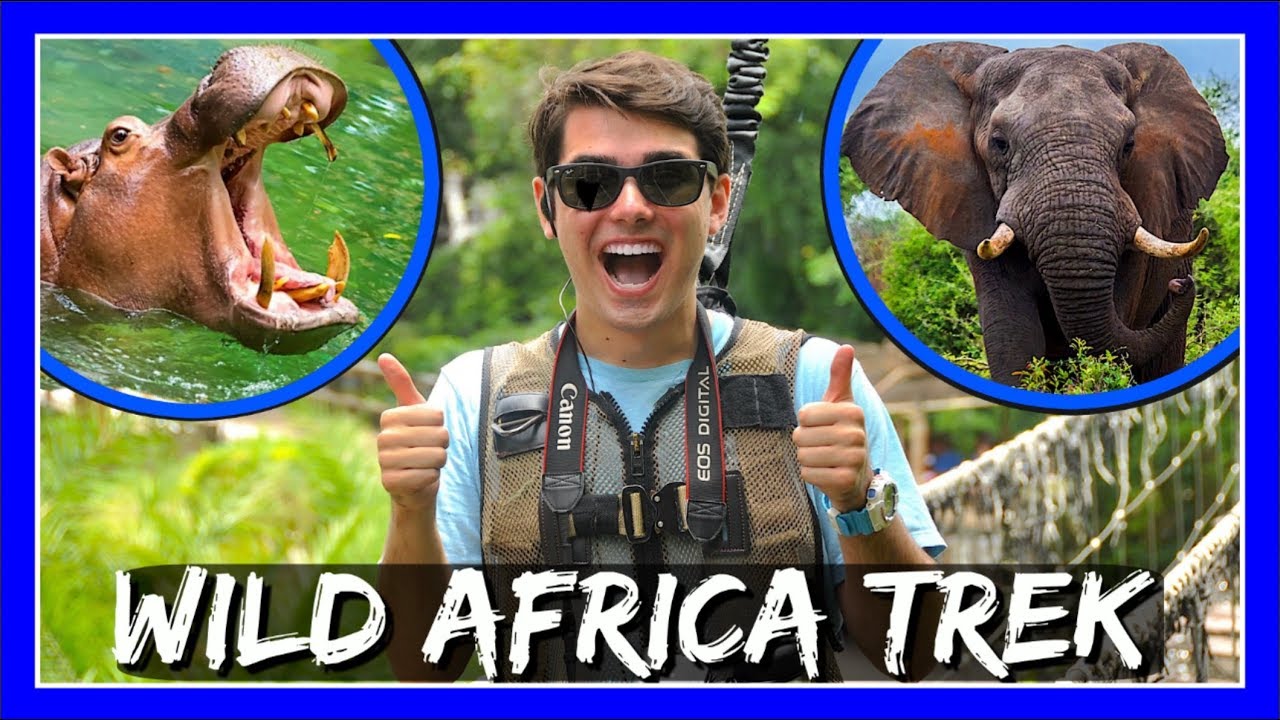 BREATHTAKING WILD AFRICA TREK AT DISNEY'S ANIMAL KINGDOM