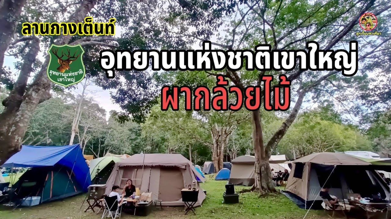 ลานกางเต็นท์ผากล้วยไม้ อุทยานแห่งชาติเขาใหญ่ลานร่มรื่นบรรยากาศดี