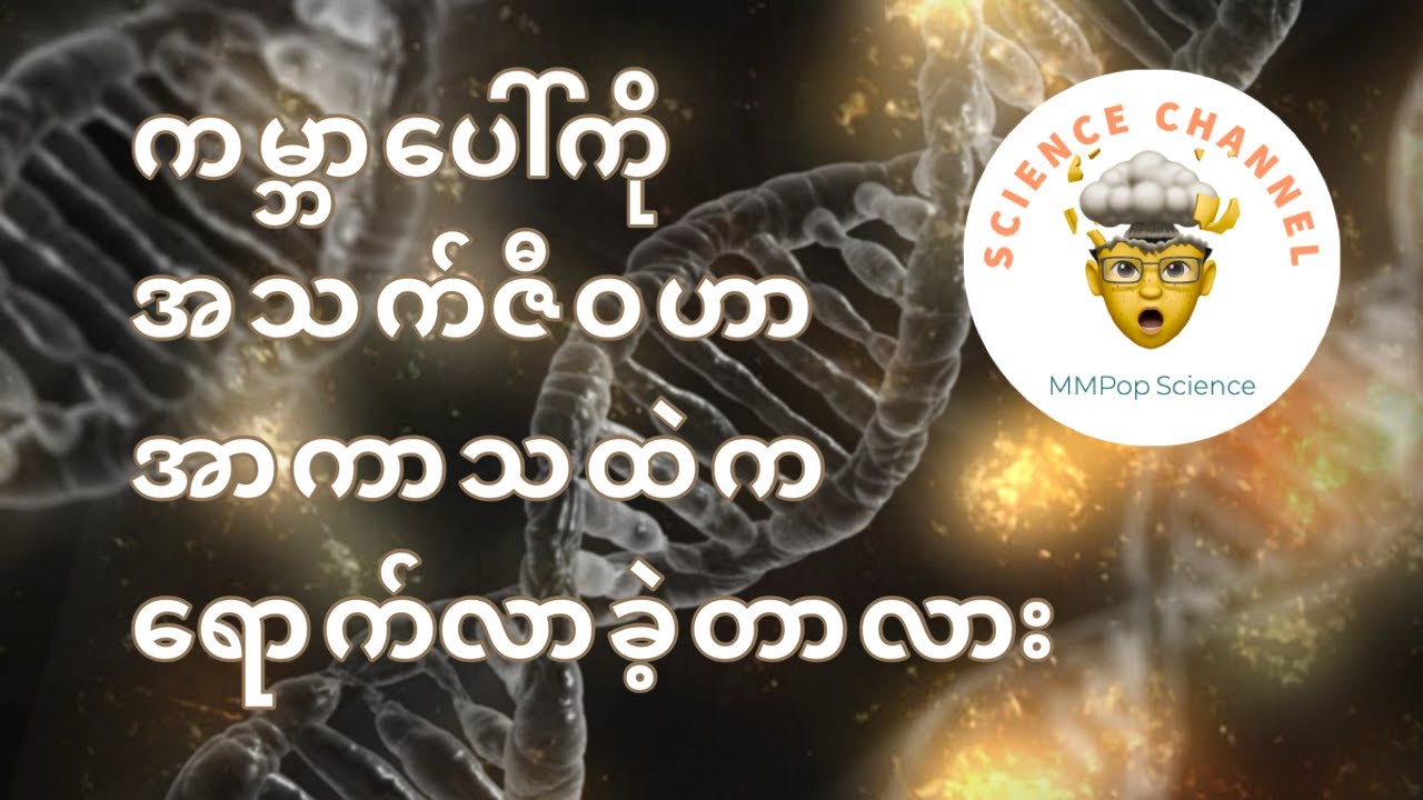 ကမ္ဘာပေါ်ကို သက်ရှိတွေဟာ အာကာသထဲက ရောက်လာတယ်ဆိုတာ ဖြစ်နိုင်သလား