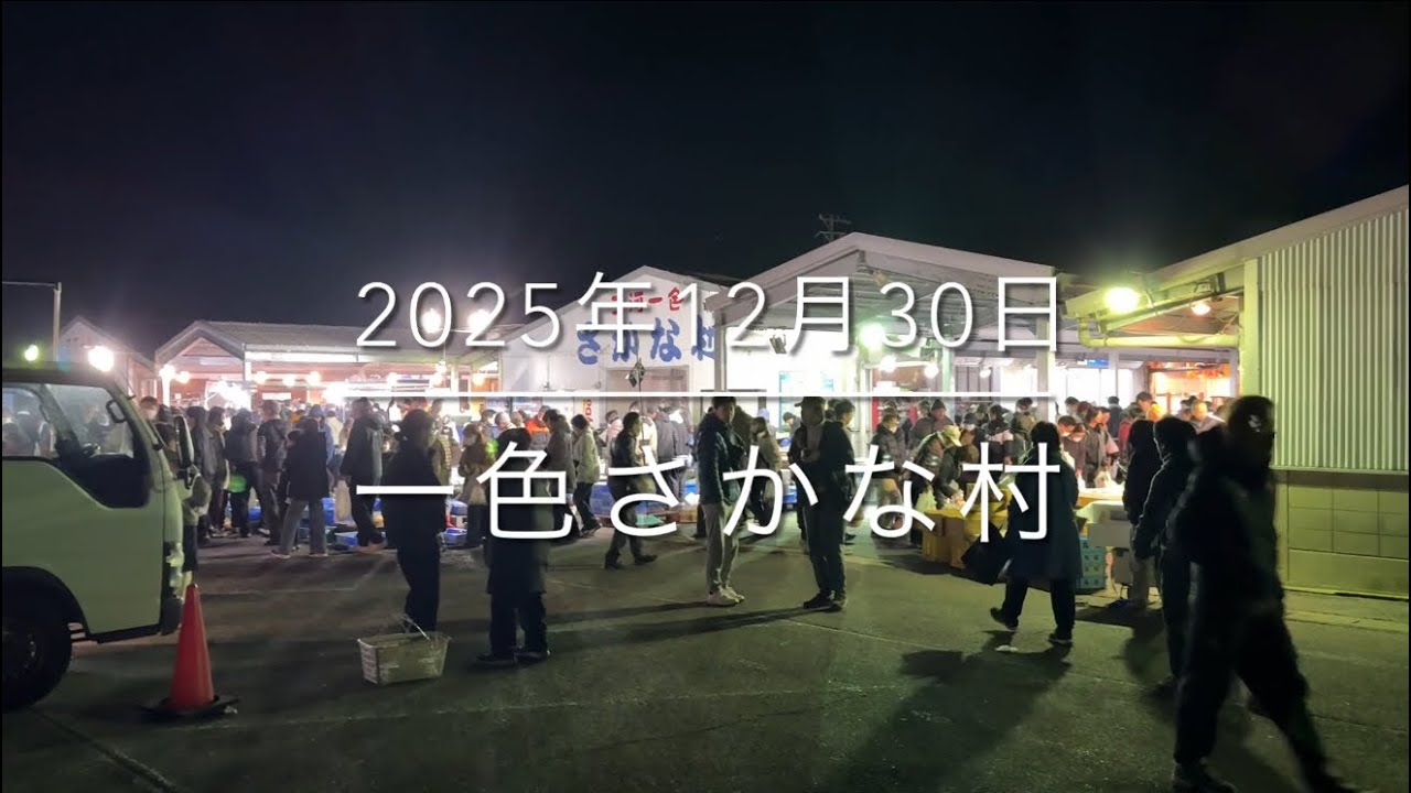【最終回】年末価格の全てを暴露【これが日本一のリアル】『一色さかな村』