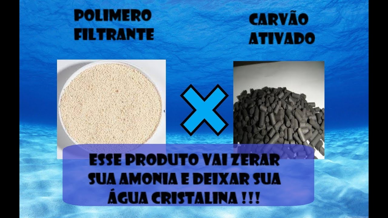 Veja como deixar sua água cristalina e zerar sua amônia!!!