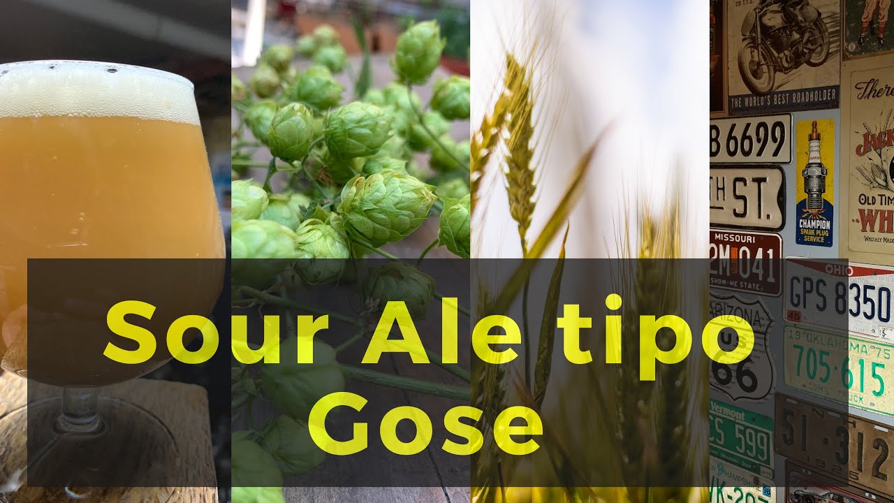 Cerveza Artesanal Sour Ale tipo gose