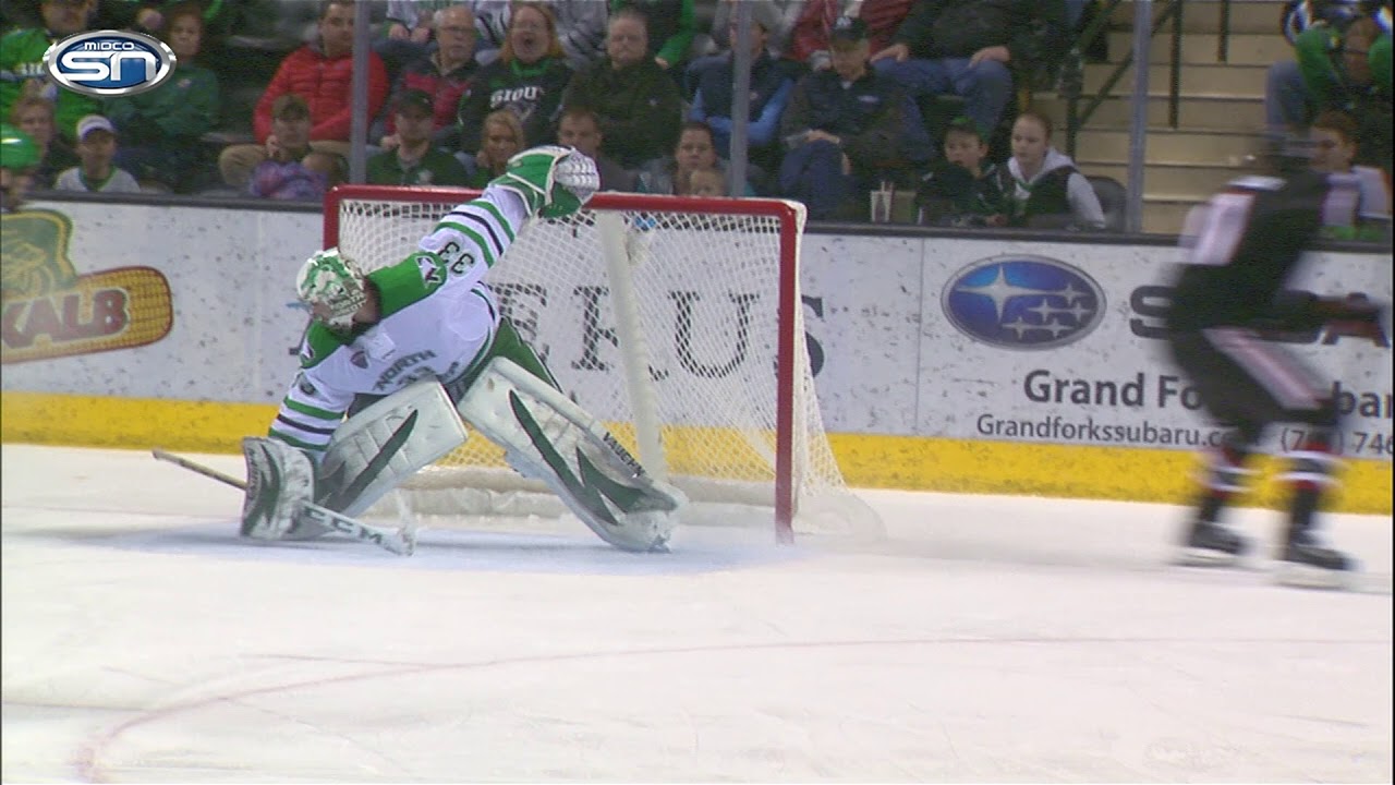 AMAZING! Ryan Poehling Goal vs UND 3-2-18