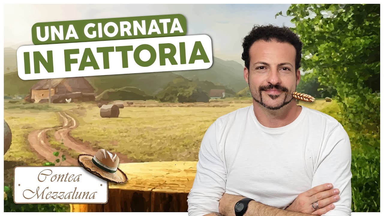 UNA GIORNATA IN FATTORIA!