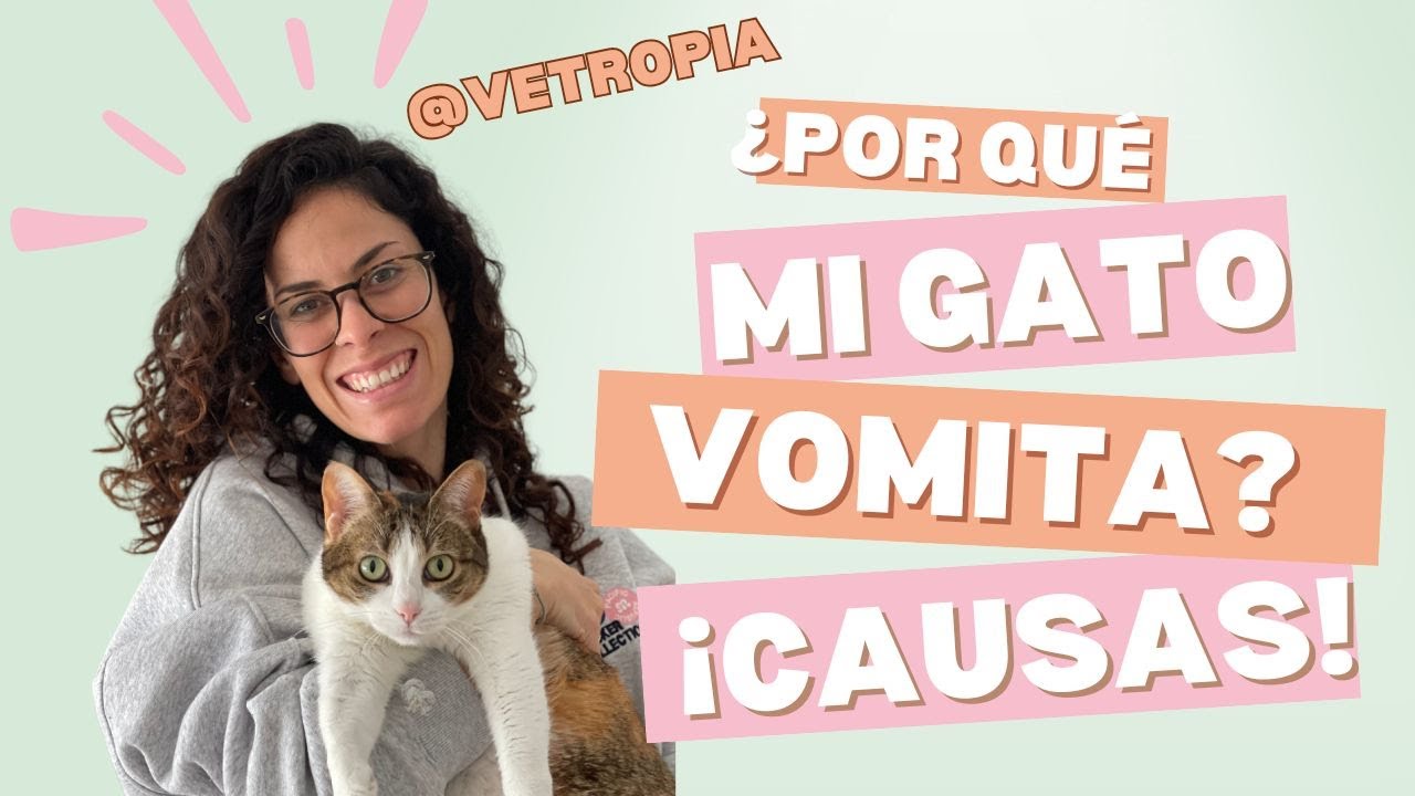 VÓMITOS EN GATOS 😺🐾 ¿Es normal que mi gato vomite de vez en cuándo?