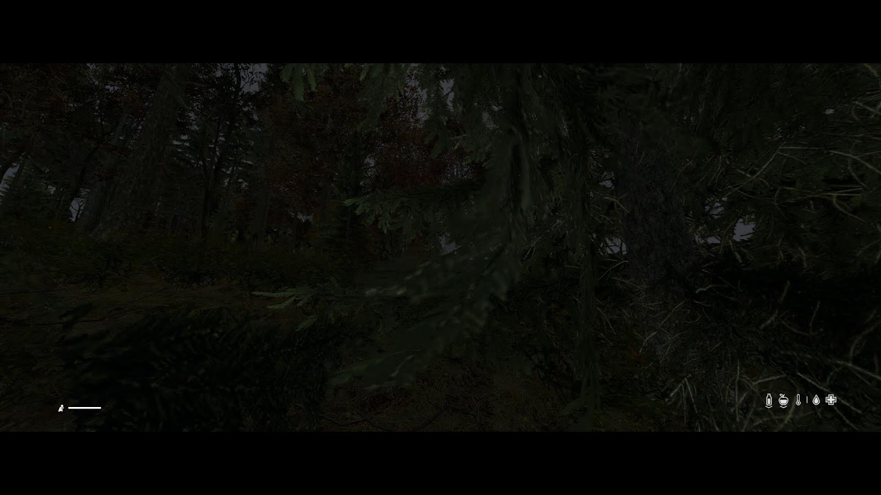 FRIDAY SHENANIGANS - DAYZ SURVIVAL - 008