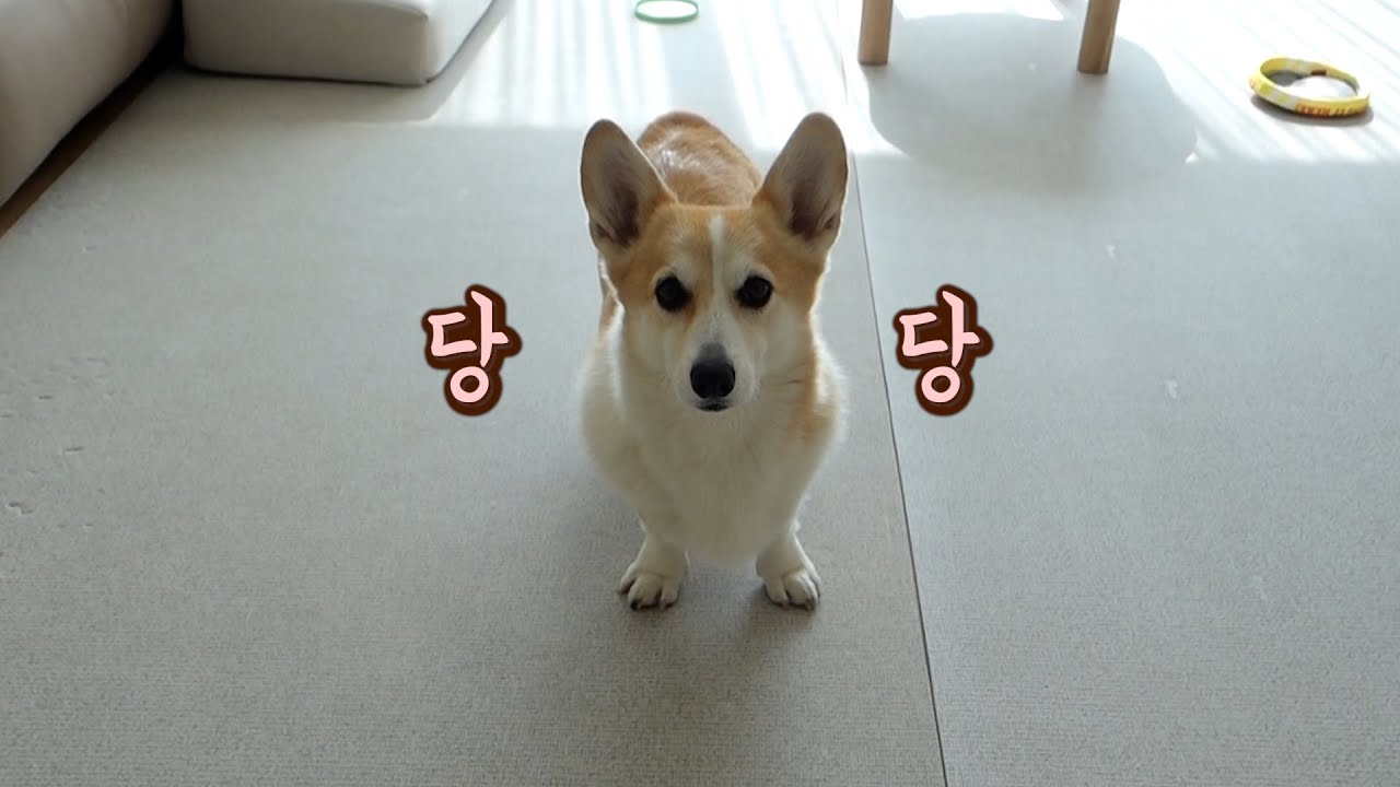 어째 갈수록 말이 점점 짧아지는 것 같다..?