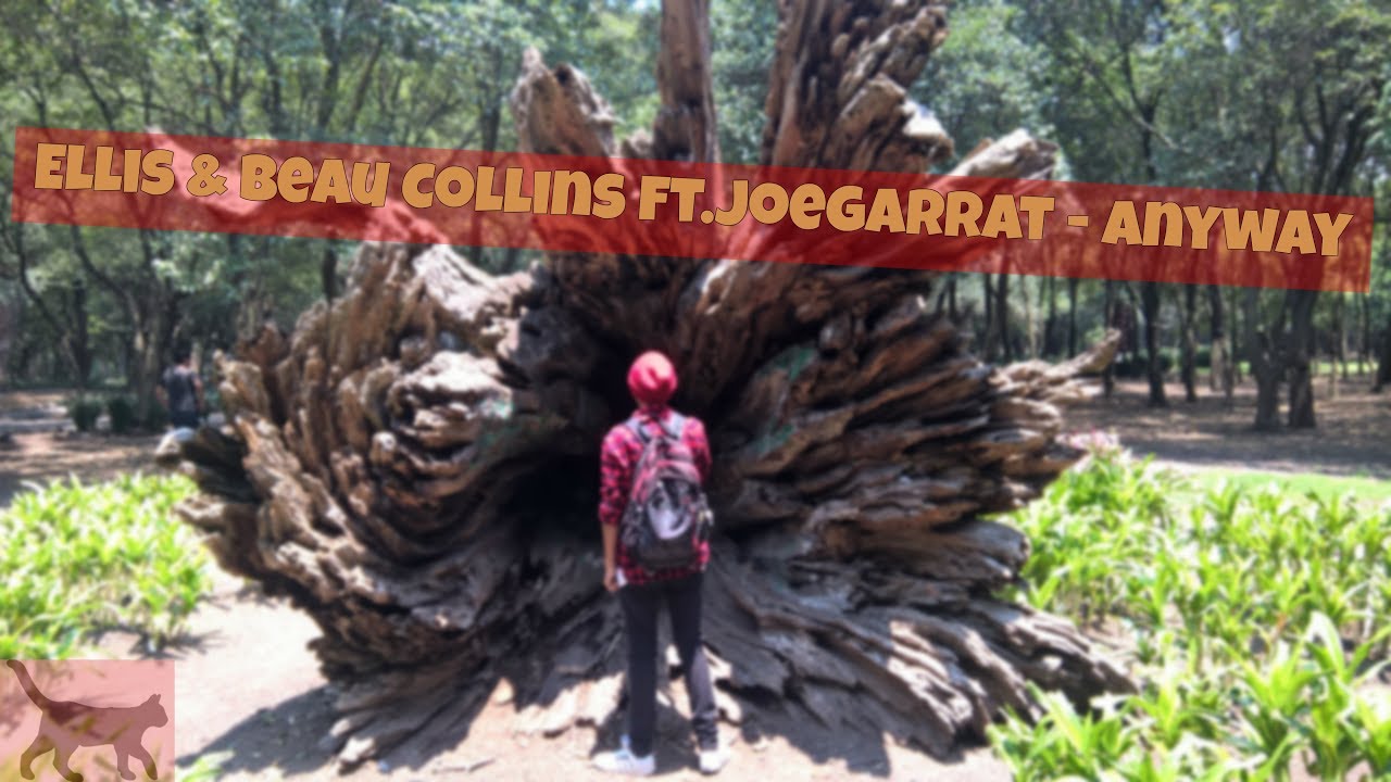 Ellis & Beau collins - Anyway  (shuffle/cutting shapes)