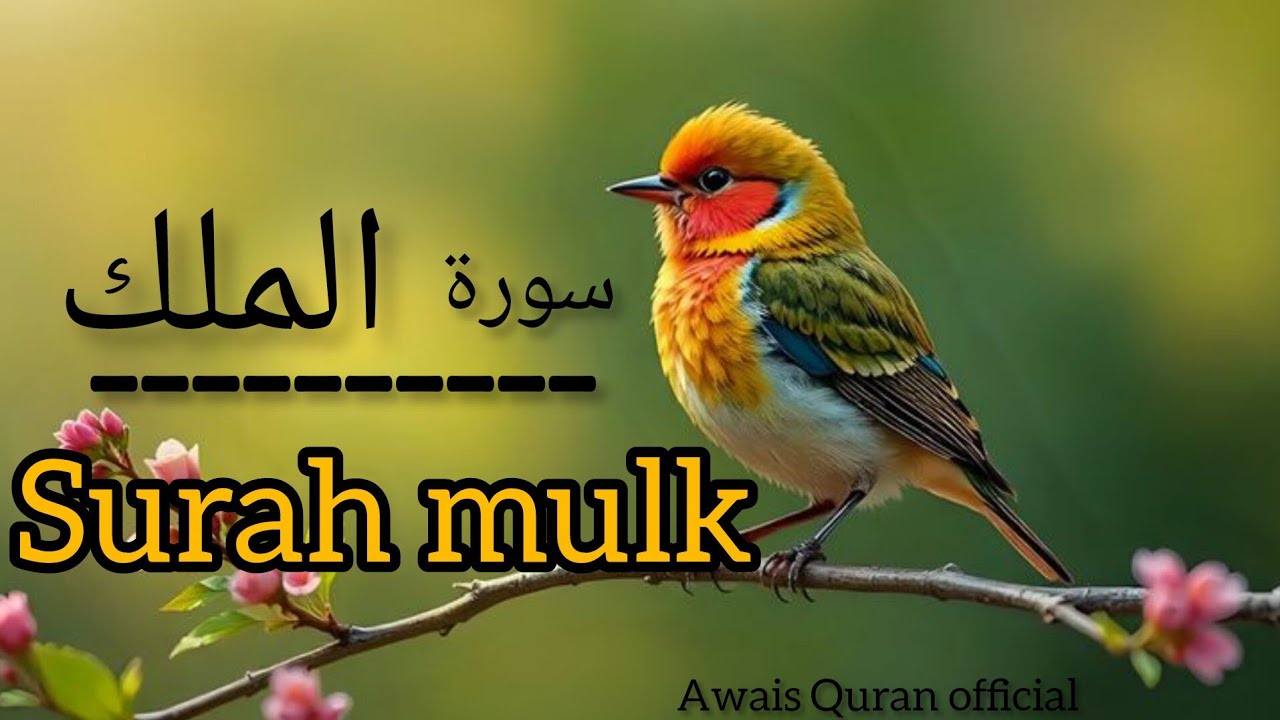 Surah Mulk with Urdu translation | Beautiful Quran Recitation | Quran with Urdu-Hindi Translation