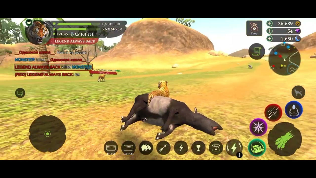 The tiger pvp why quality medium see last video