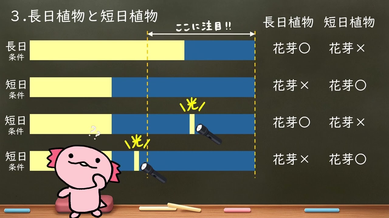 高校生物 70. 花芽形成