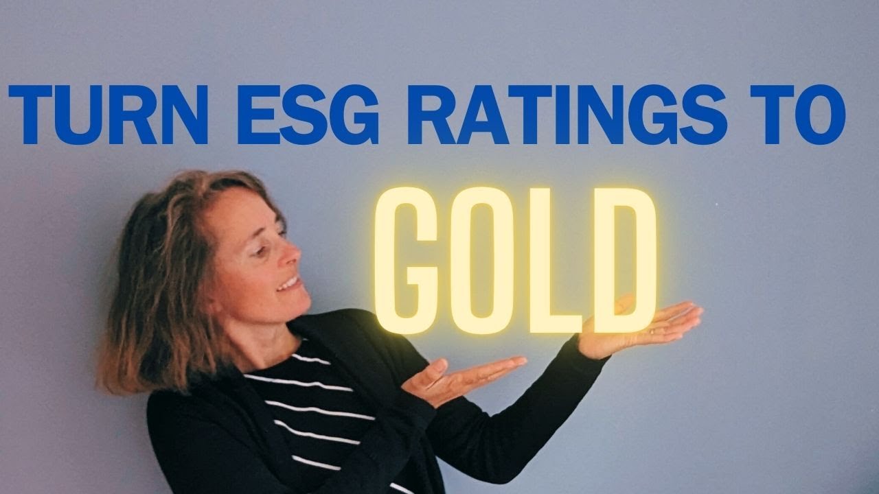 How a Good ESG Rating Can Save Your Business Millions - Step by Step Guide (no financial advice)