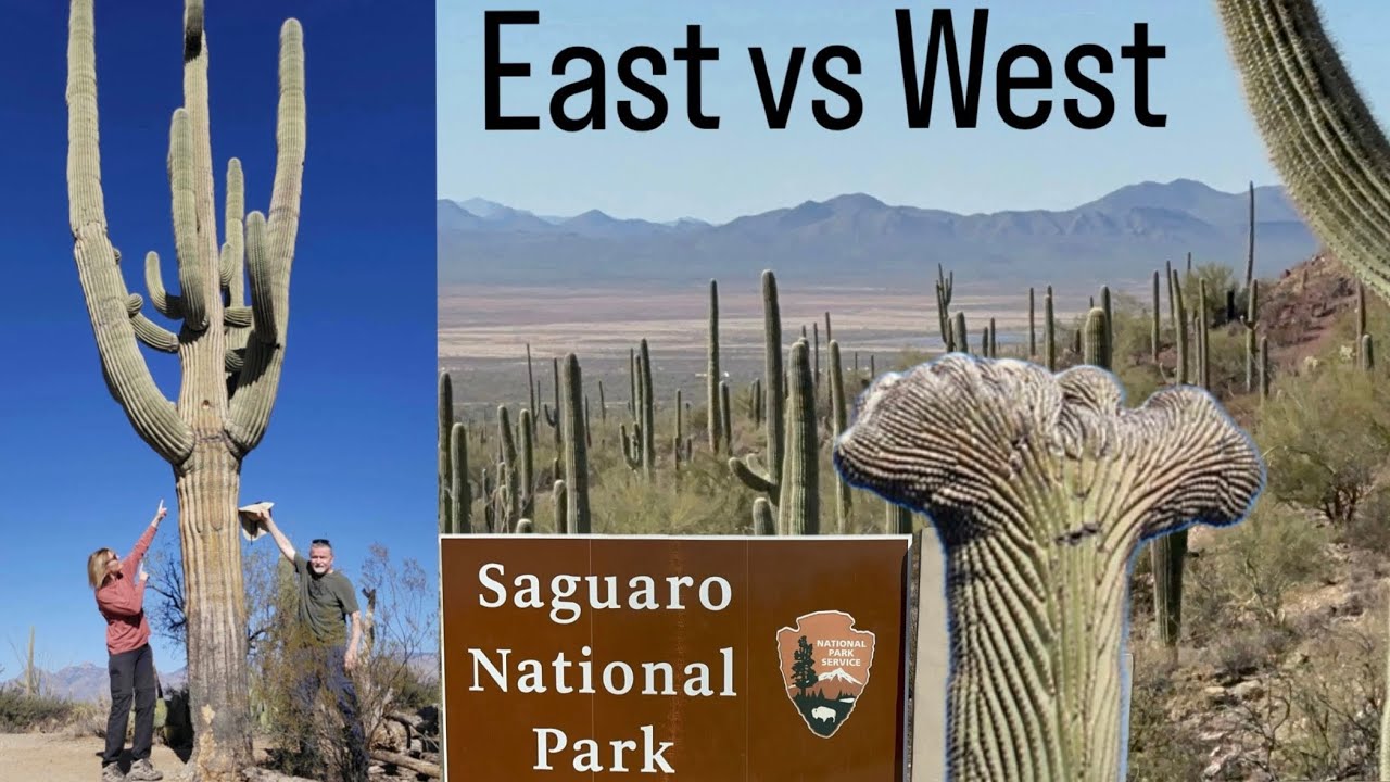 Saguaro East and West - We Hiked Both Sides to Decide