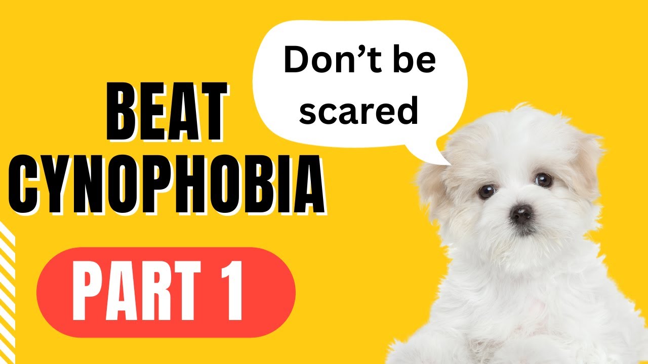 How to overcome a fear of dogs. Part 1