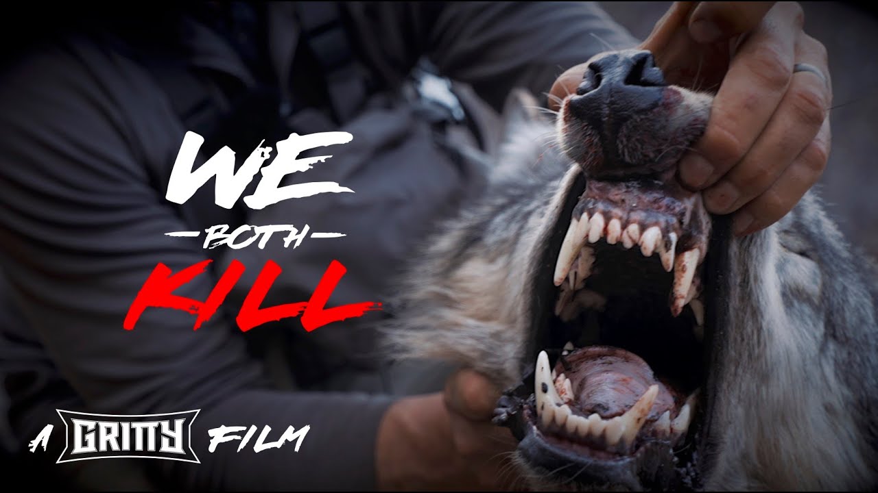 WE BOTH KILL | A WOLF HUNT | 🎬 GRITTY 4K FILM