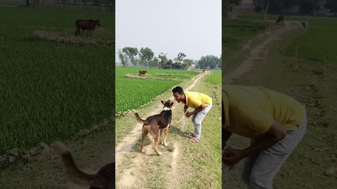 #Sorry #technique# video#🤗🥰❤️♥️💛🌺💓🎉🌹🥀😥🥺🥹