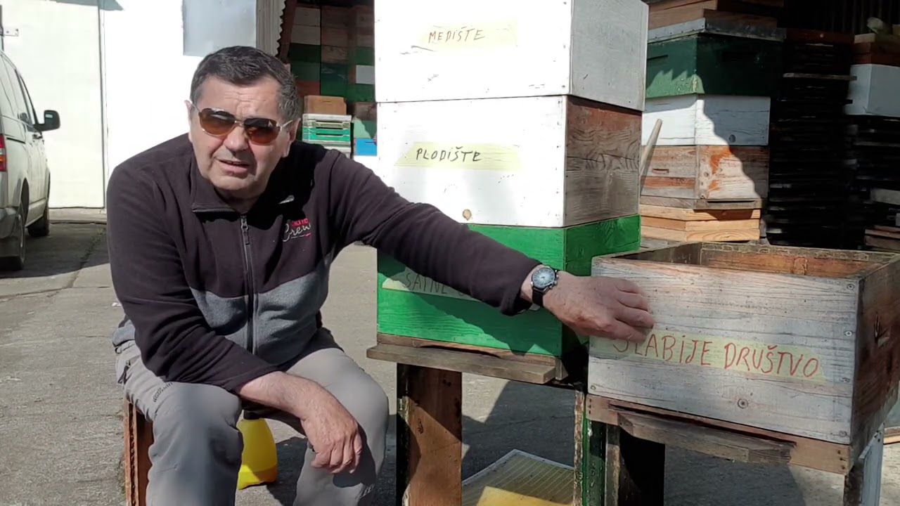KOSNICE KRCATE PCELA STRESANJE prvi dio.16.04.2021.