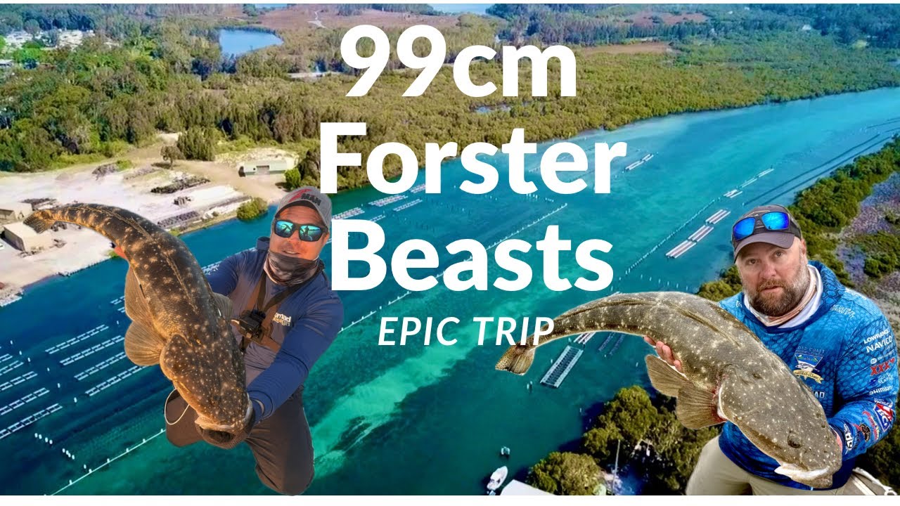 &ldquo;The 1 Metre Flathead Hunt &ndash; 99cm Caught + Multiple Big Fish in Forster-Tuncurry!&rdquo;