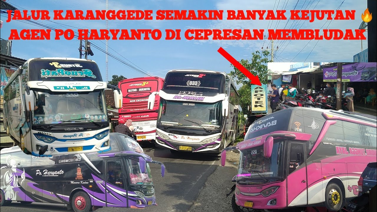 AGEN Bus berasa terminal rame poll agen bus PO Haryanto cepresan | Hunting bus