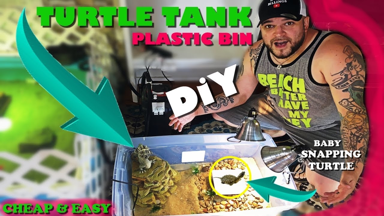 BABY SNAPPING TURTLE TANK SETUP (diy PLASTIC BIN TURTLE AQUARIUM)