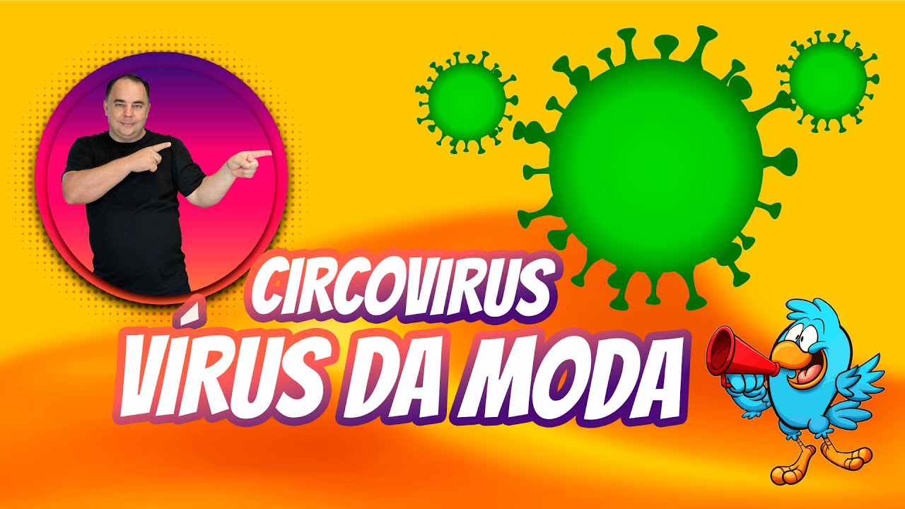 Circovírus o Vírus da Moda